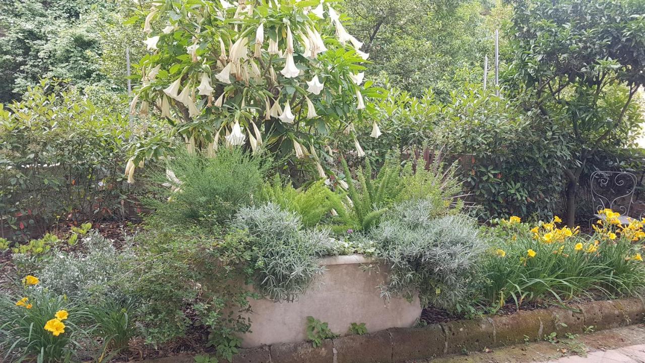 Dimora Storica "Le Stanze Di Dioniso" Villa Napoli Eksteriør bilde
